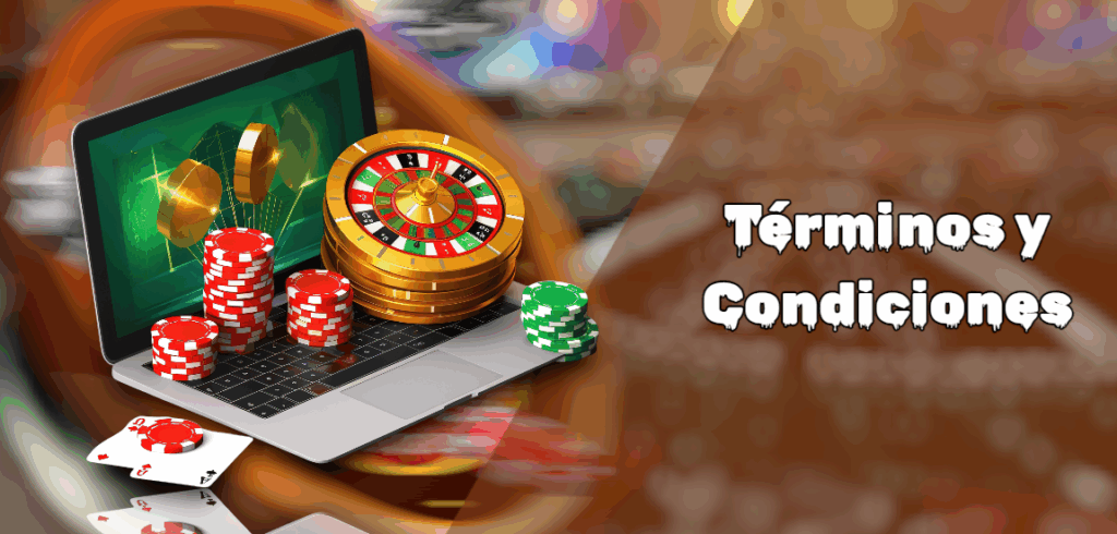 Términos y Condiciones